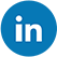 LinkedIn Icon